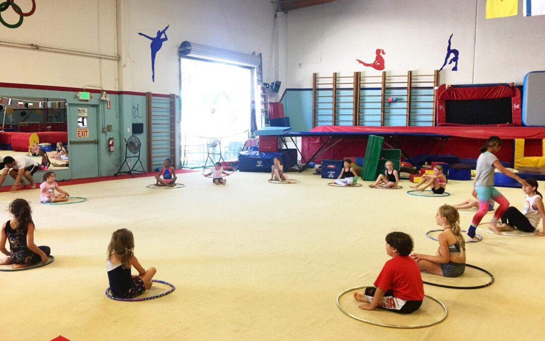 The Importance of a Well-Equipped Gymnastic Gymnasium in Brentwood